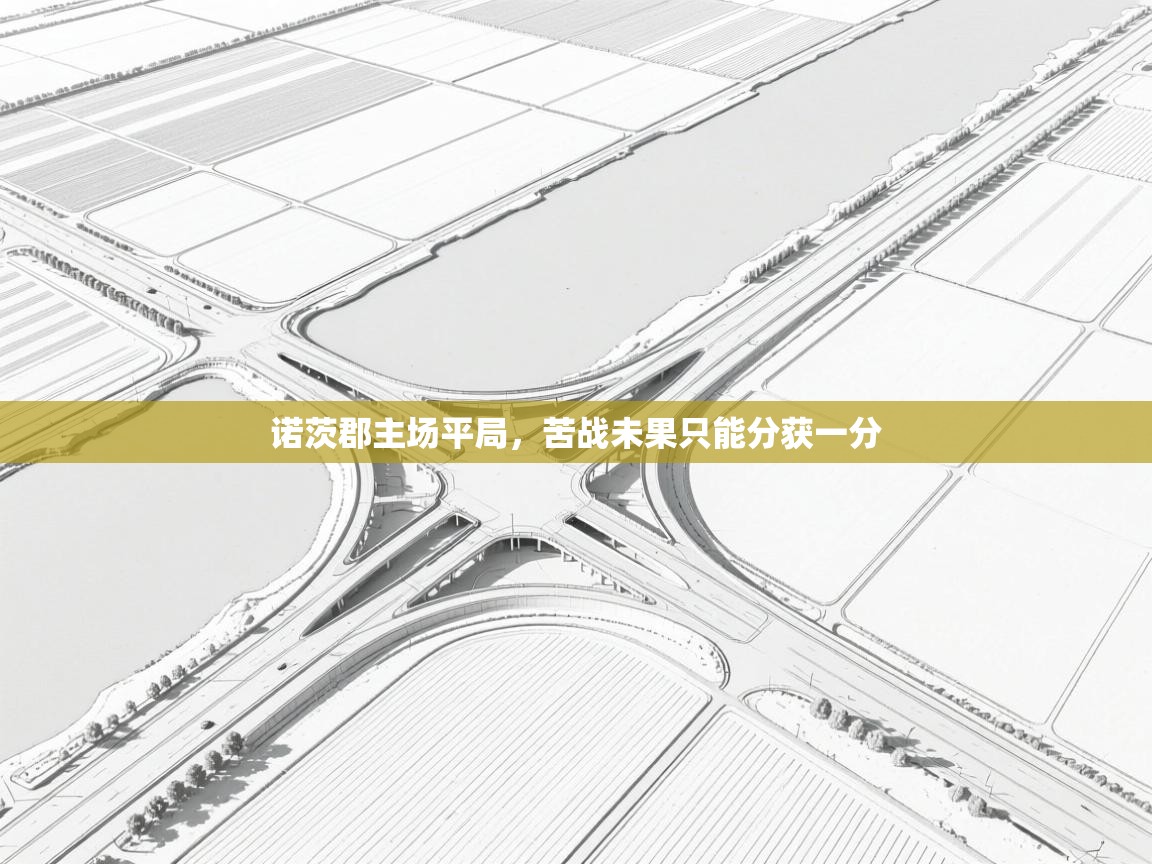 诺茨郡主场平局，苦战未果只能分获一分  第2张