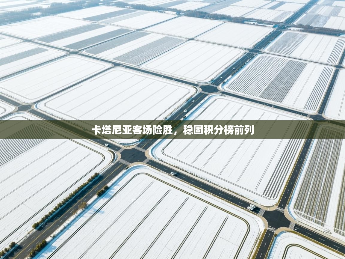 卡塔尼亚客场险胜，稳固积分榜前列  第2张