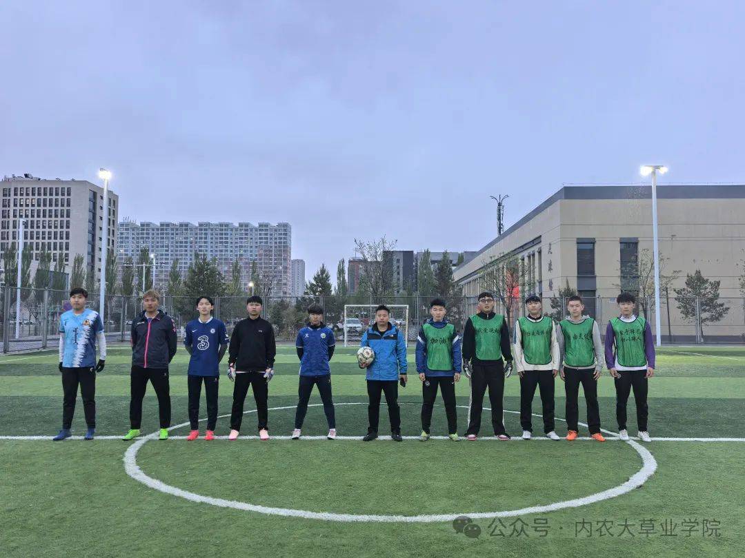 球员在比赛中完美诠释了技术与团队精神