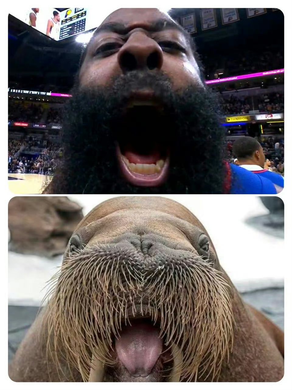 九游体育官网-包含火箭逆转灰熊，哈登关键时刻发威的词条